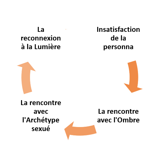 Les étapes du processus d'individuation